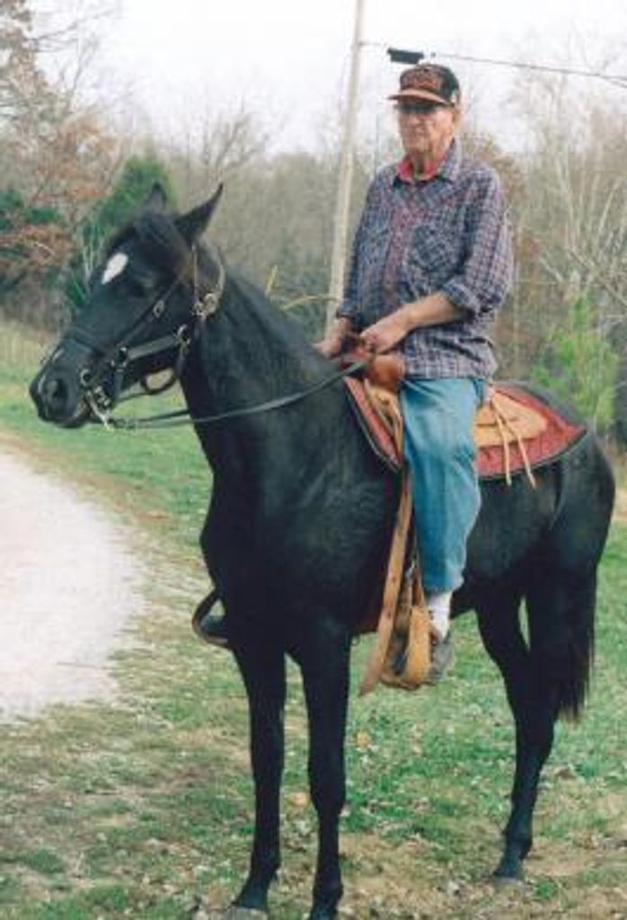 Mr.    James Murl Hill