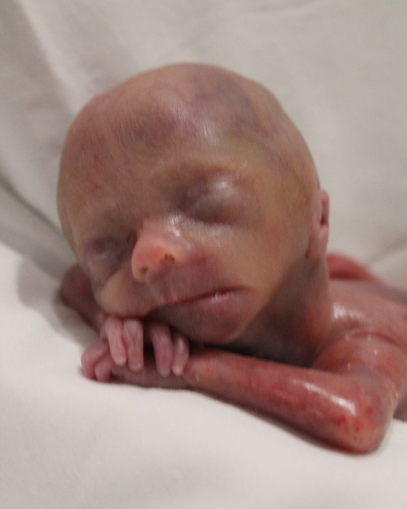 Rhodes Emerson Jenkins Profile Photo