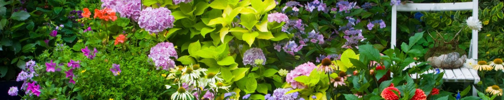 Cover photo for Jean Marks's Obituary
