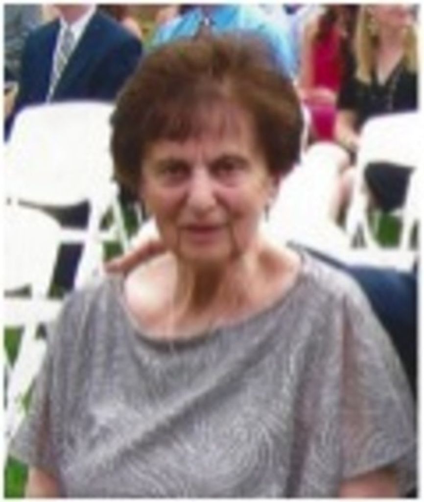 Mary J Dipalma Profile Photo