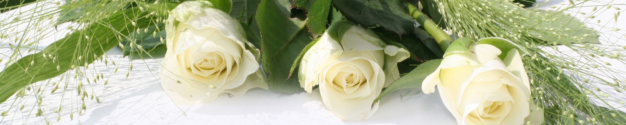 Cover for Yolanda M. (DiDuca) Cellucci's Obituary