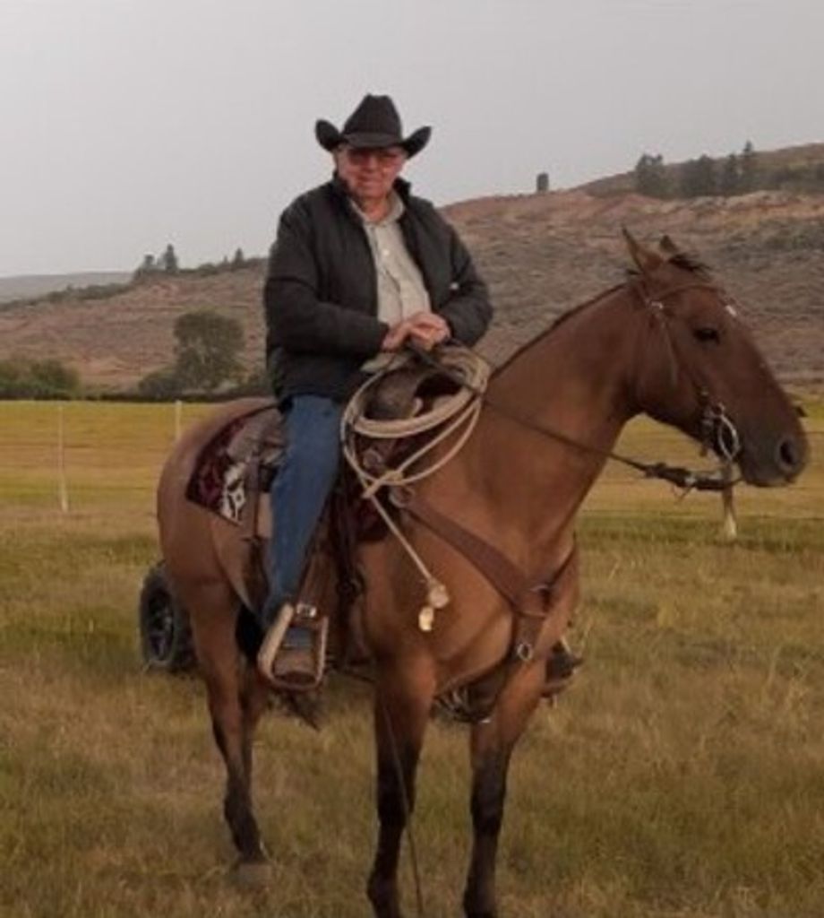 Ron Bohleen Profile Photo