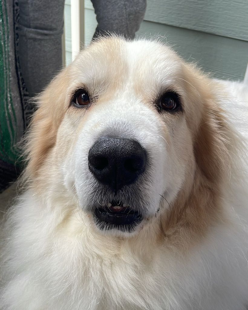 Cooper Elzy Profile Photo