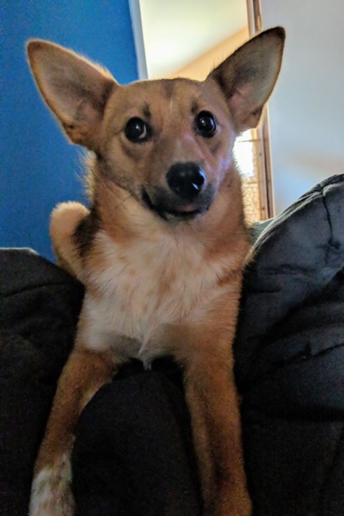 Baxter "Bax" Loop-Harris