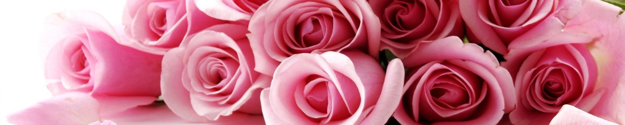 Cover photo for Kay Joanne Goodmanson's Obituary