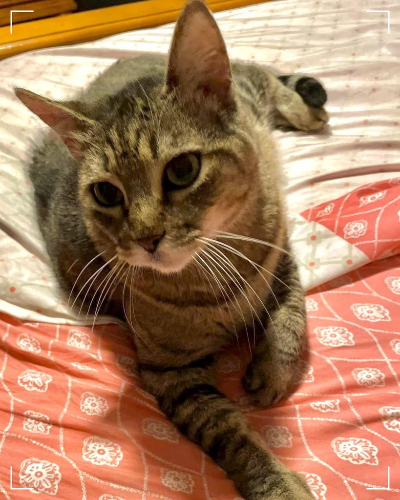 Chutney Raman Profile Photo