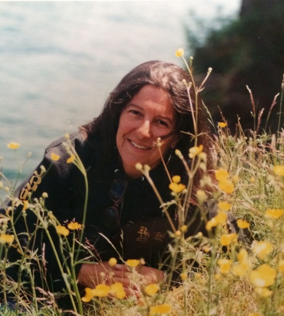 Suzann B. (Farkas)  Sellars