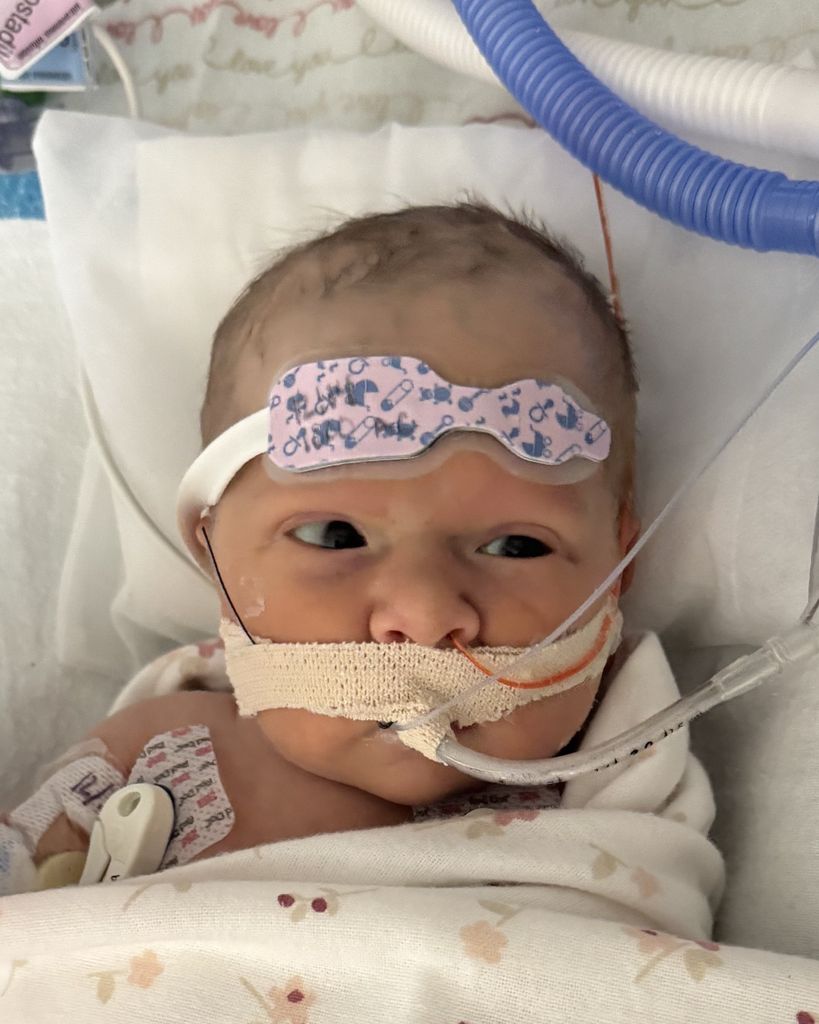 Olivia Grace Wischmeyer