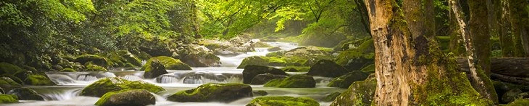 Cover for Caldwell Davis, Jr.'s Obituary