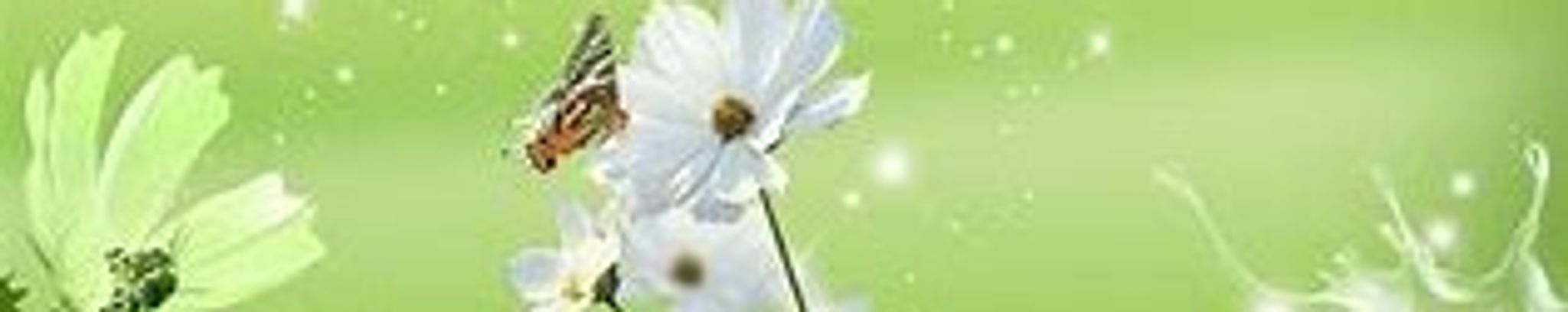 Cover photo for Alberta Hurd's Obituary