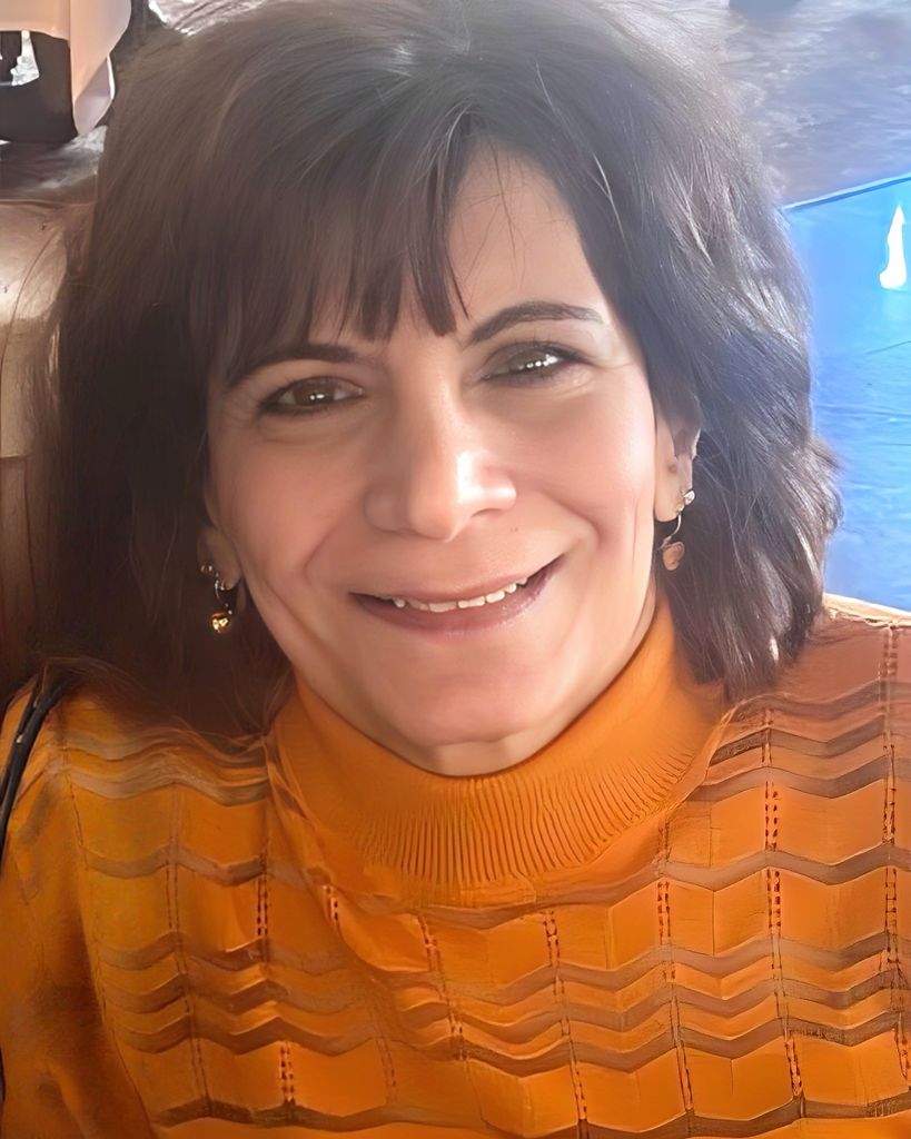 Diana Lucy (Vendetti) Holcomb Profile Photo