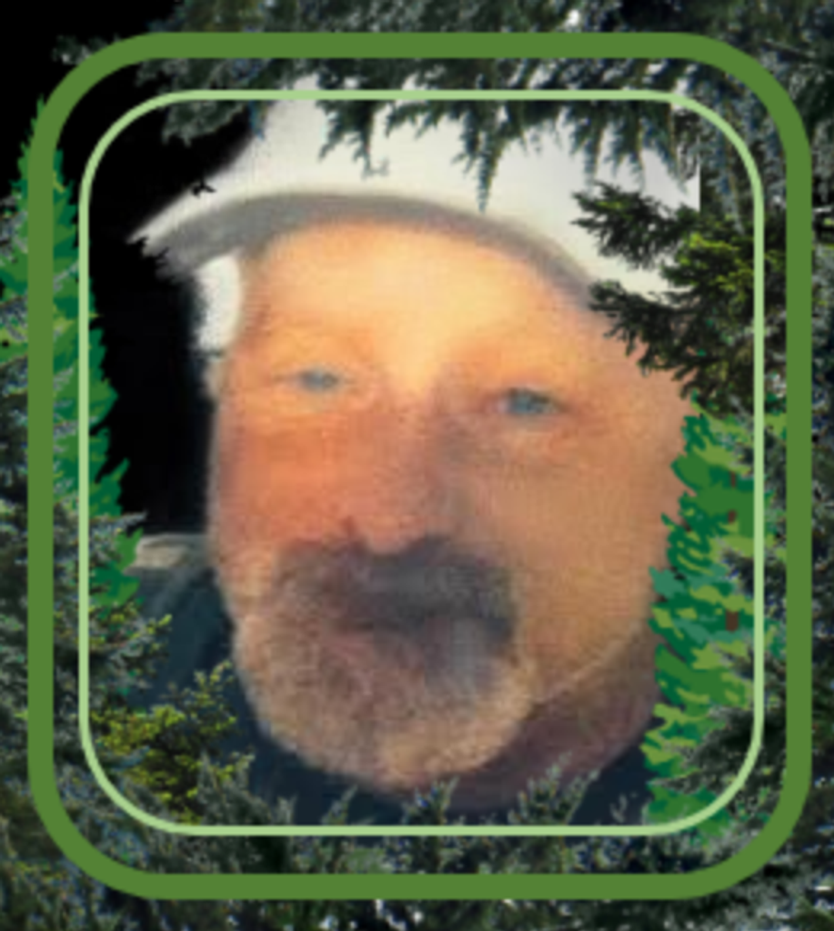 Brian Lee Silver