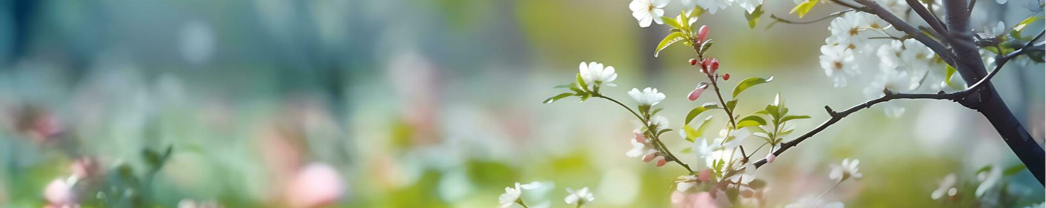 Cover photo for Peggy Stott's Obituary