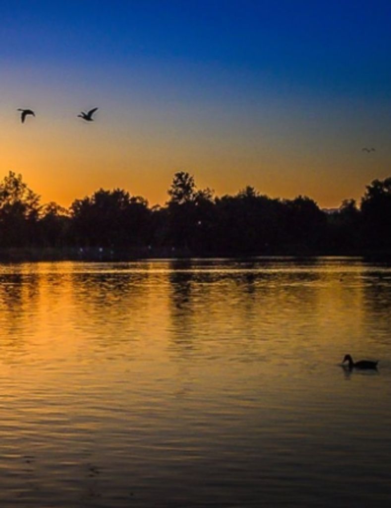 Joseph Stanley Courter