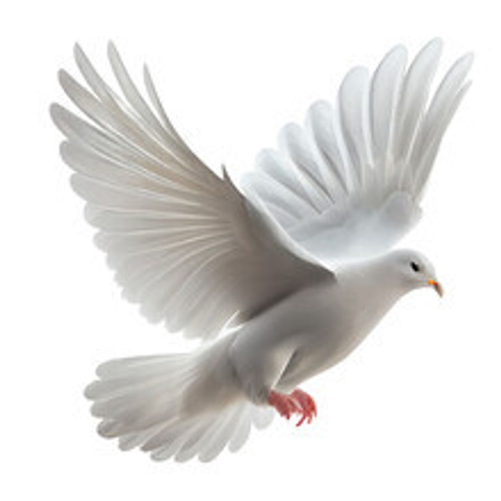 Karen E. Cullers Profile Photo