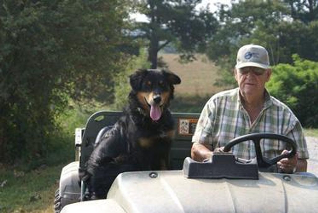 Robert Samuel Vickery