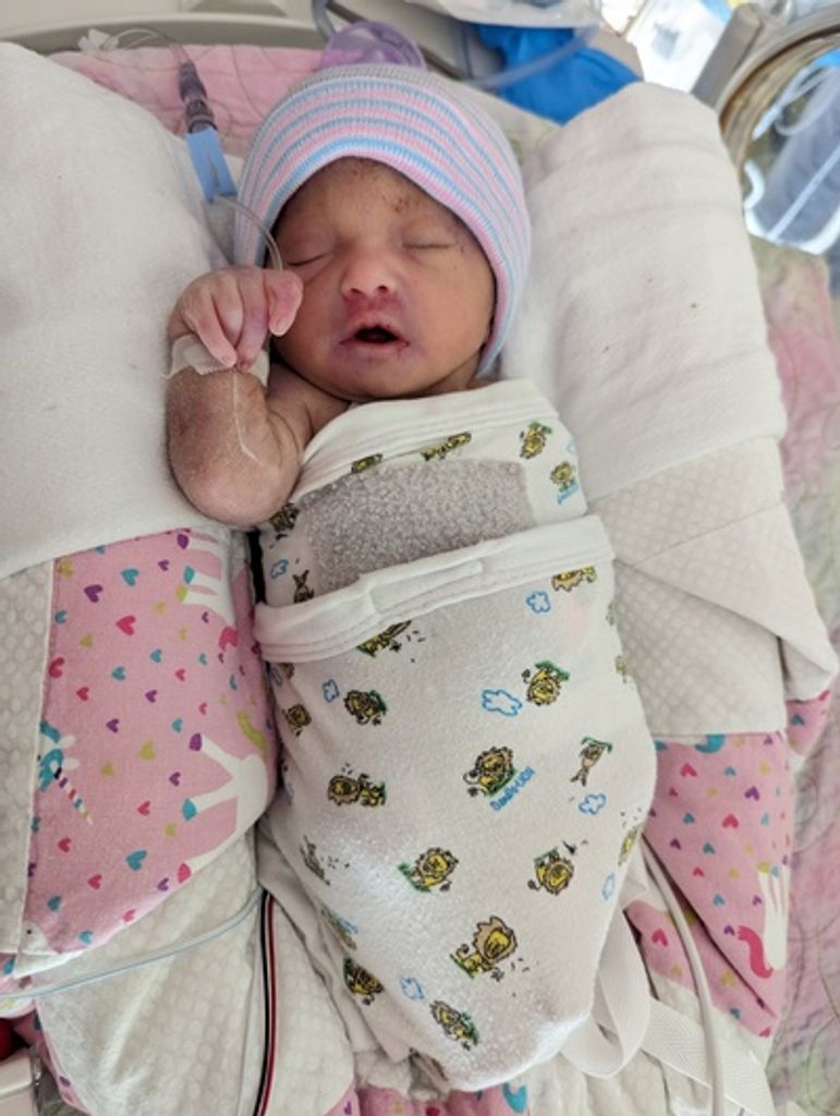 Amber Grace Pedro-Ostia Profile Photo