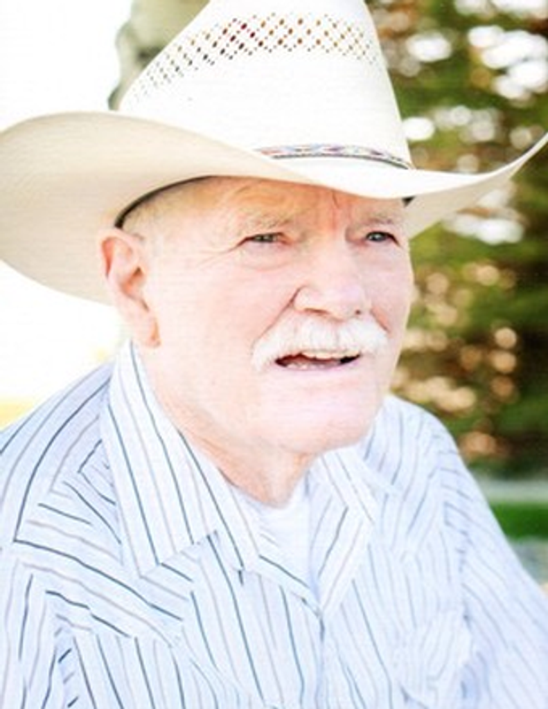 Afton James Thomas Hogan Profile Photo