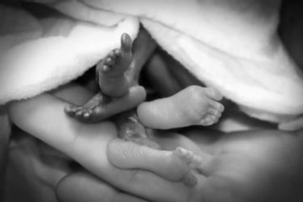 Braxton And Braydon Hull