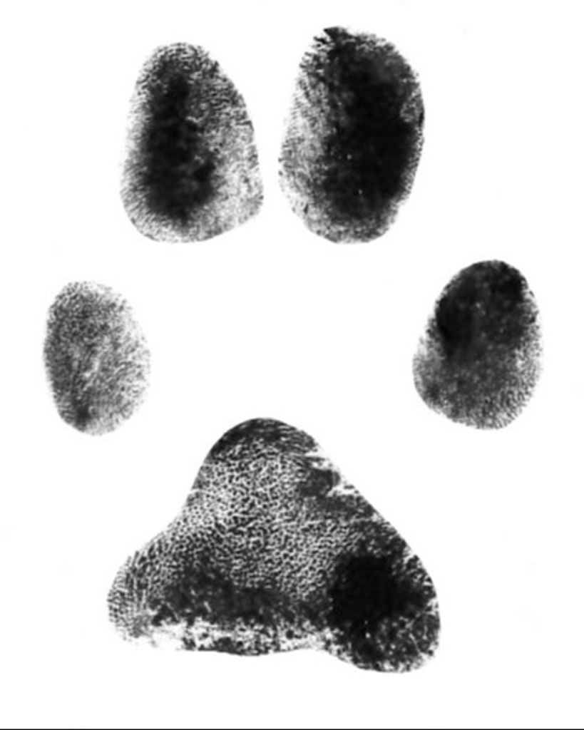 Eddie Bailey Profile Photo