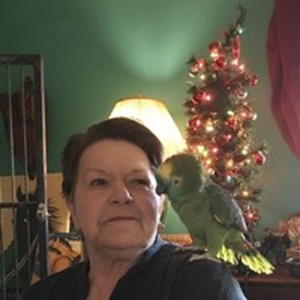 Ann Jones Profile Photo