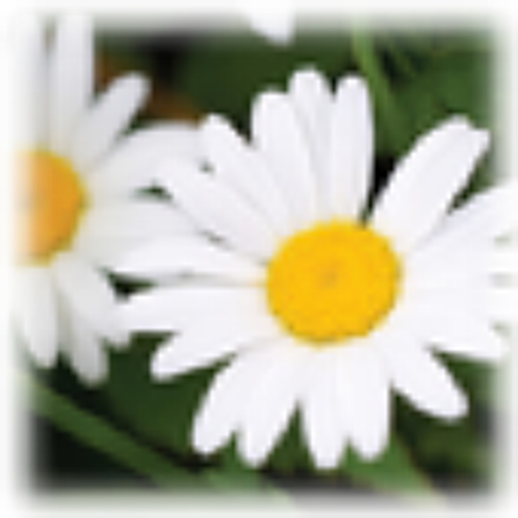 Brenda Marie Johnson (Outrich) Profile Photo