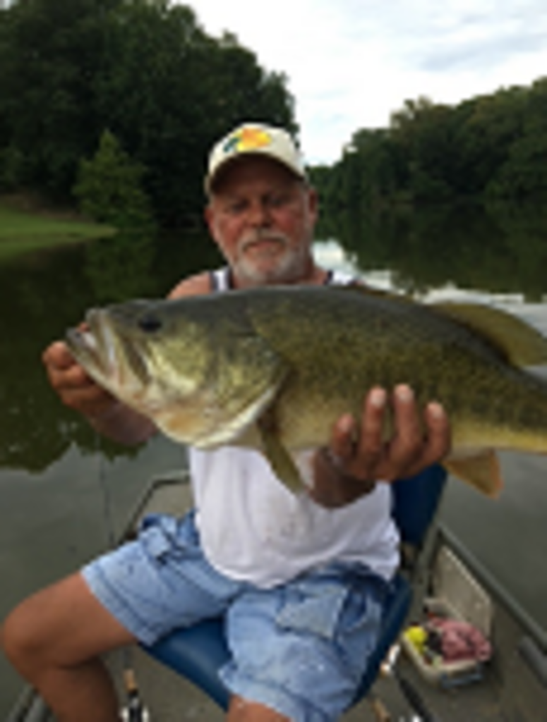 Anthony "Tony" Wells Profile Photo