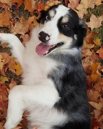 Skeeter McCullough's obituary image