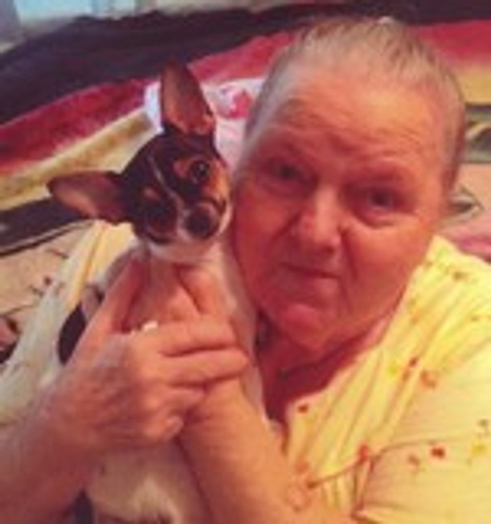 Anna Lou (Irwin)  Brink