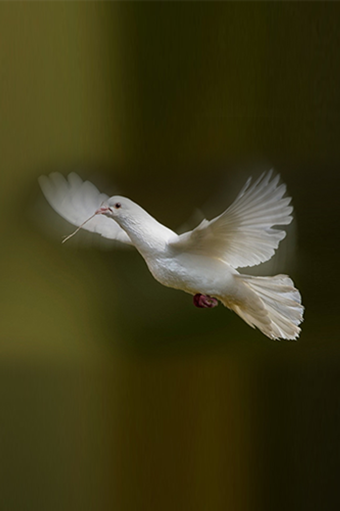 Marilyn Wade