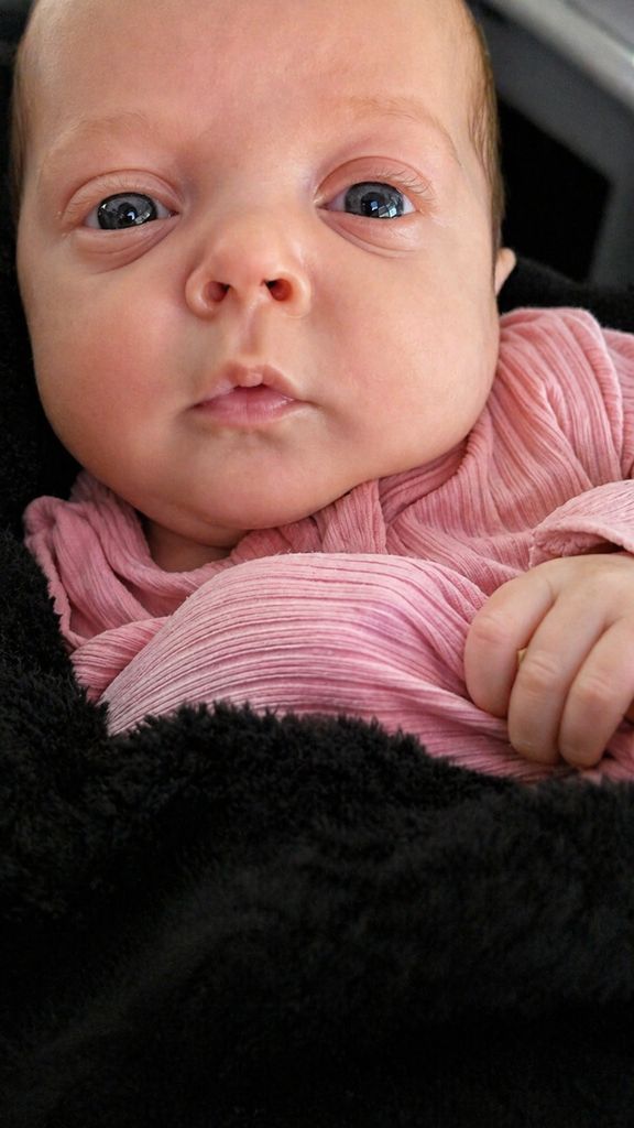 Maddison Faye Herbster