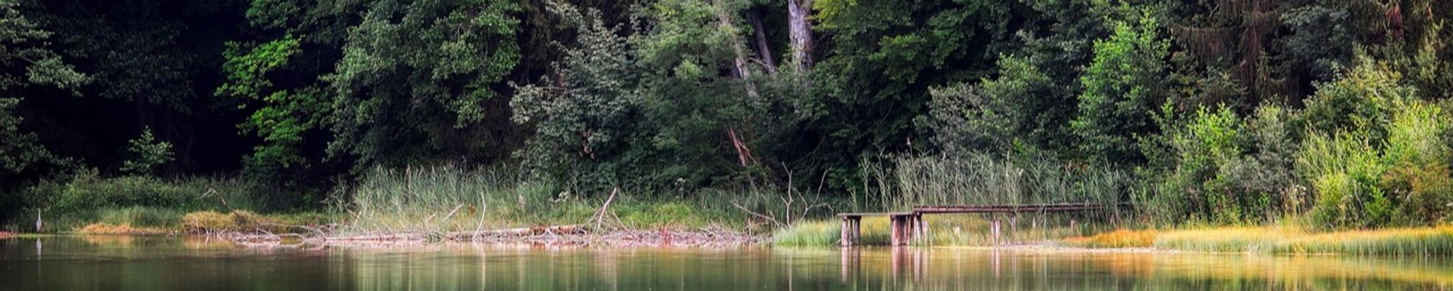 Cover for Gregory T. Witte's Obituary