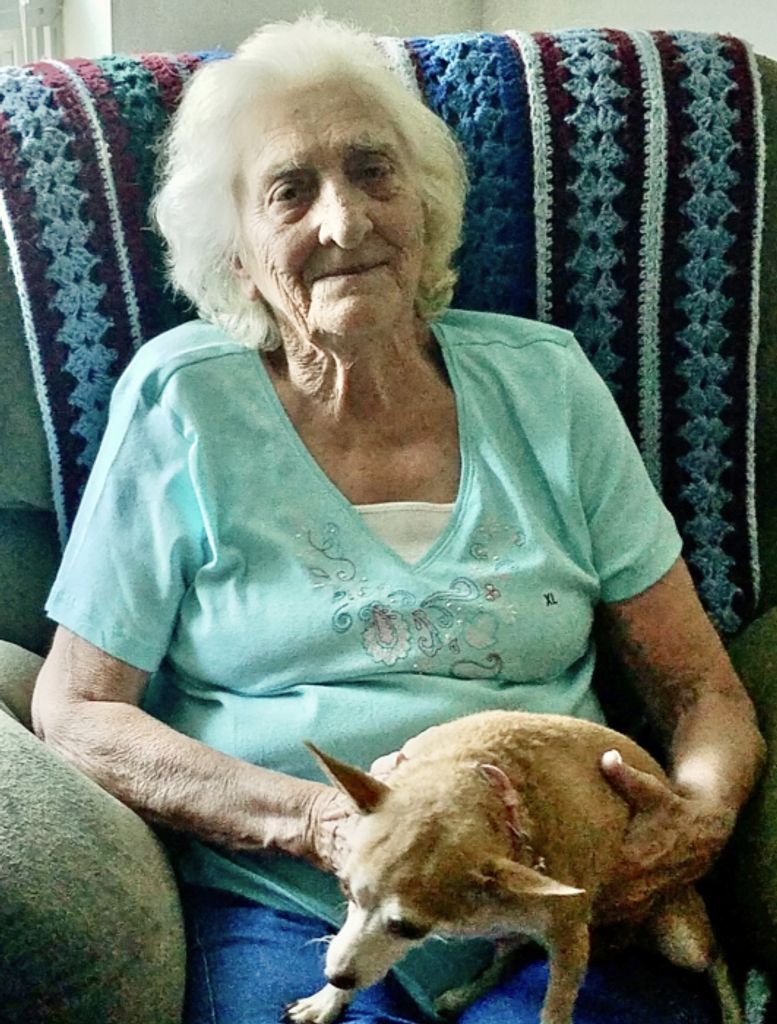 Carol J. Nutt Profile Photo