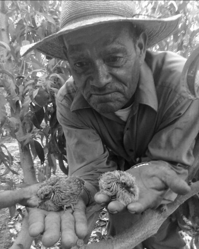 Filiberto Perez Gonzalez Profile Photo
