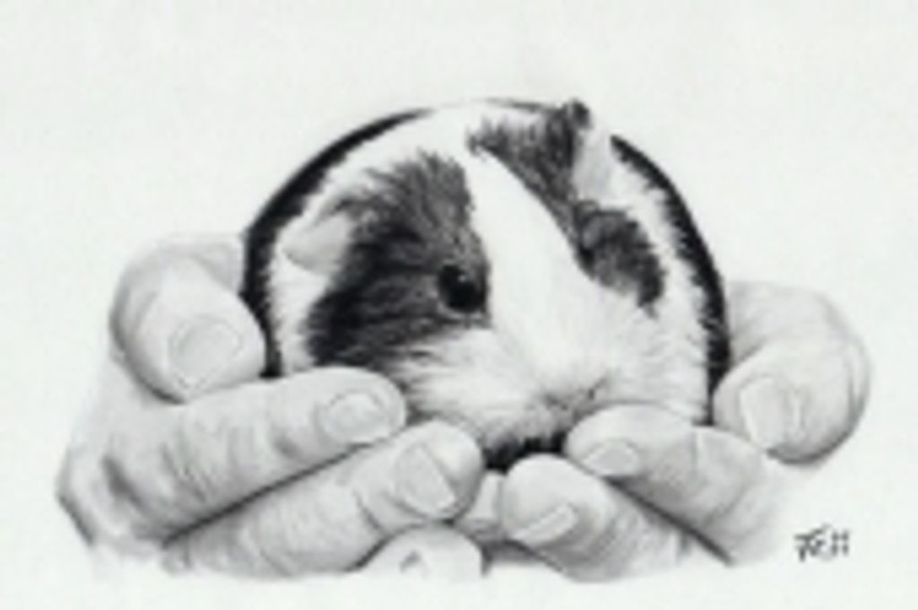 Ricardo Leal Profile Photo