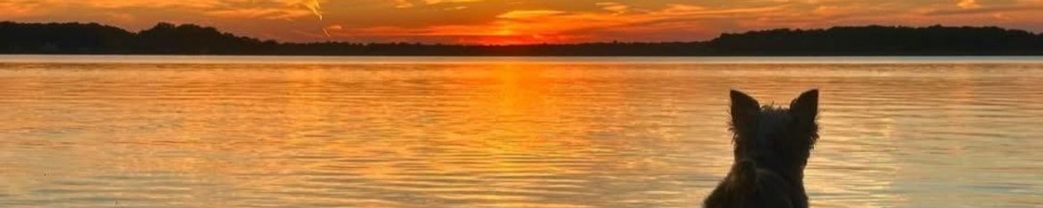 Cover photo for Diane "Dee Dee" Kopka's Obituary