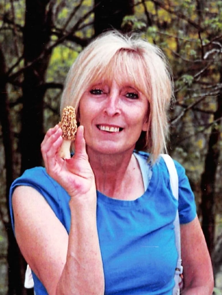 Bonnie Kate Collins Profile Photo