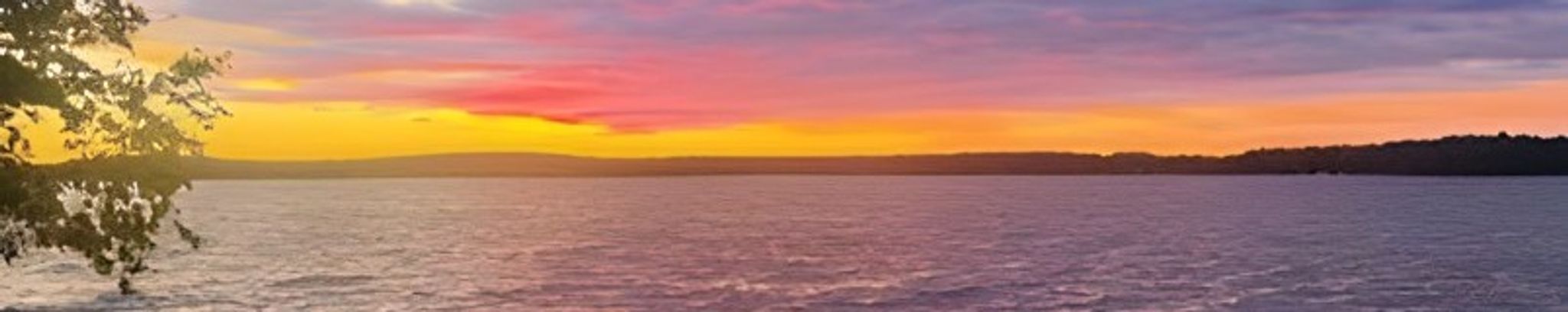 Cover for Peter Rockey Edsall's Obituary