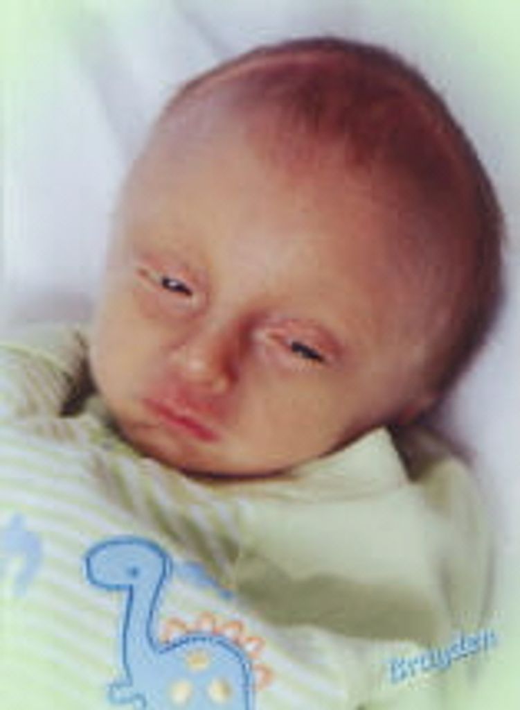 Brayden Allen Pattenaude Profile Photo