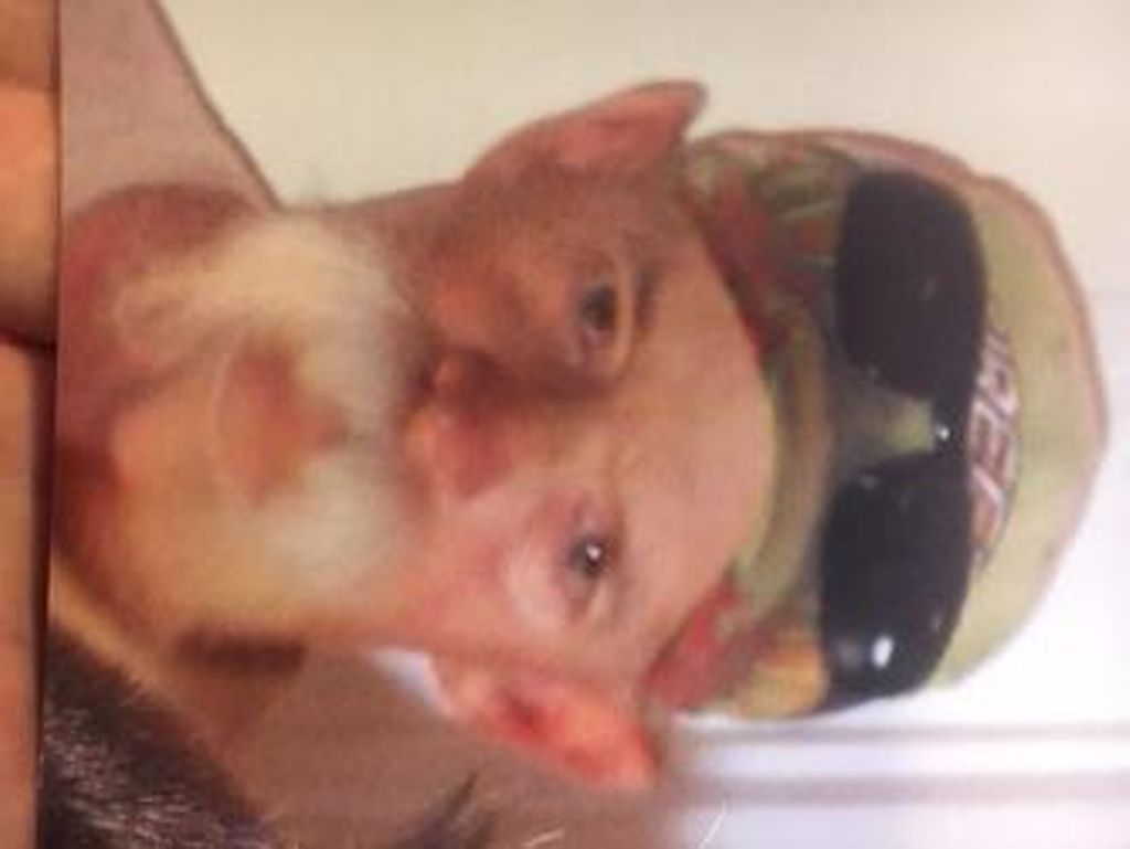 Robert "Bobby" Hadden