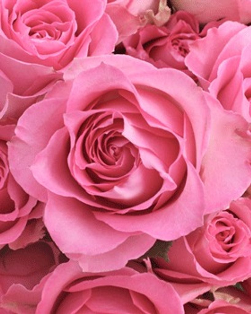 Eleanor Marie Wenzler