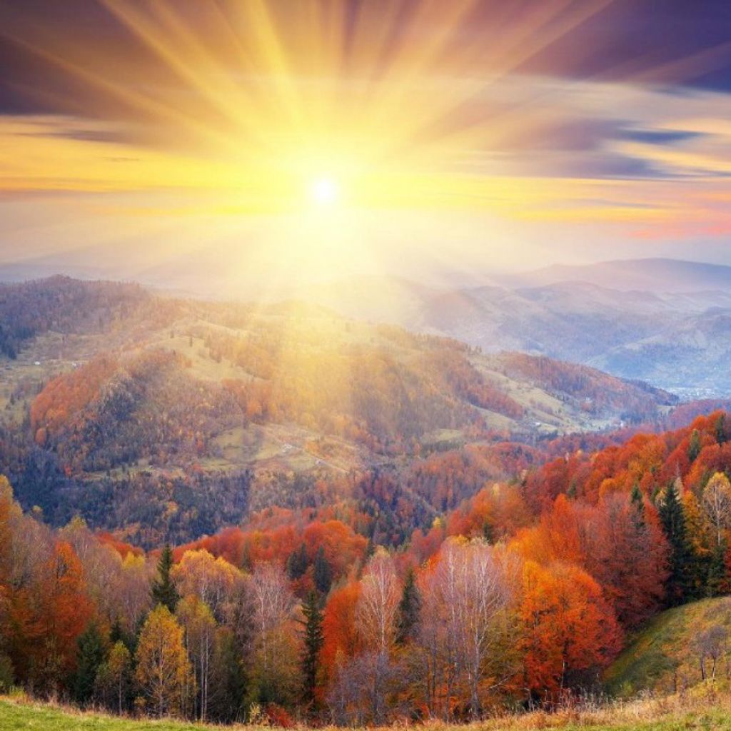 Terence Mentzer Profile Photo