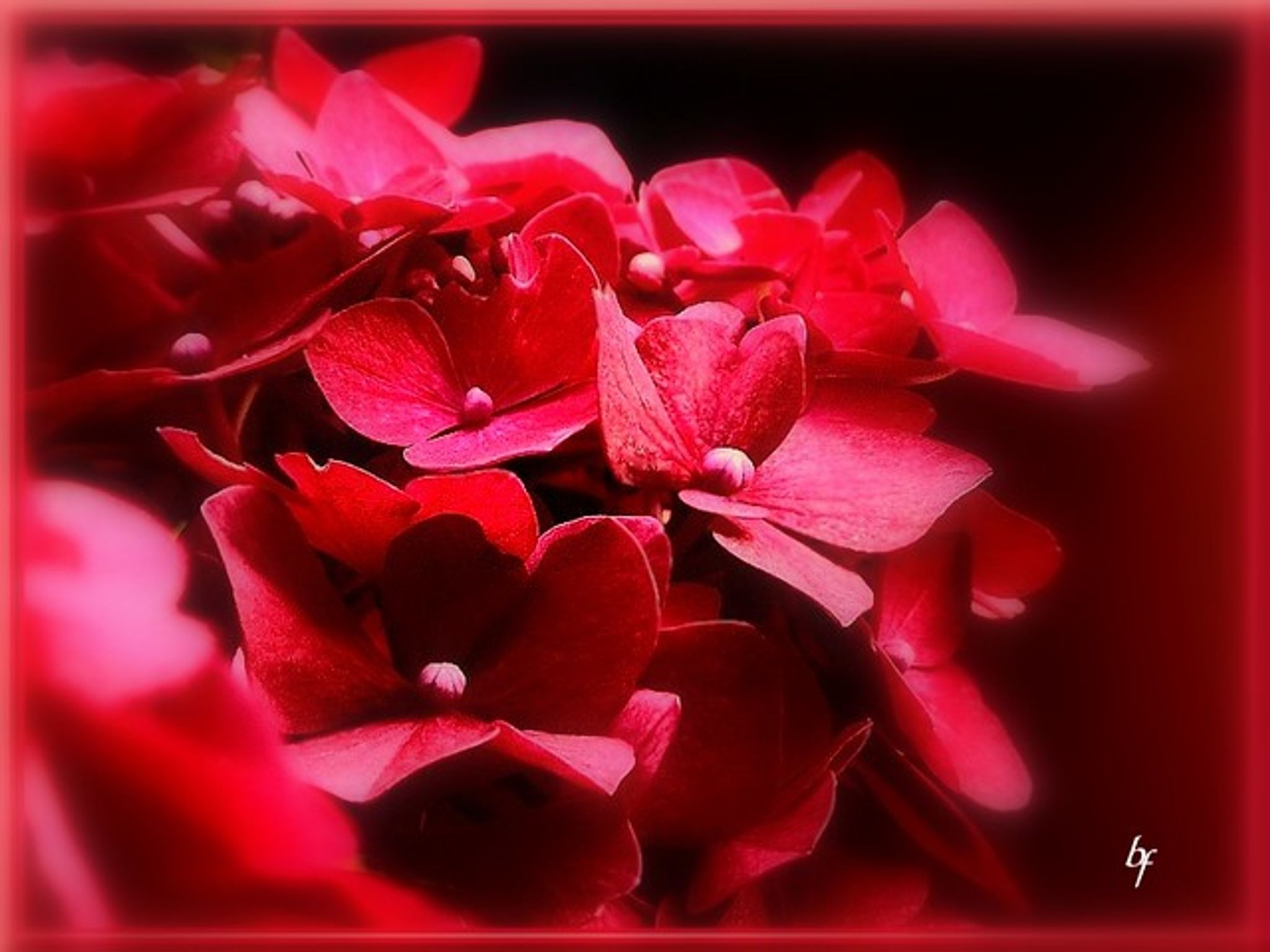 Cover photo for Karen Kay Crane's Obituary
