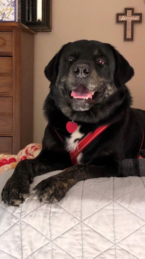 Titus Profile Photo