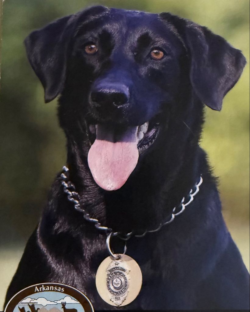 Lucy Stell Profile Photo