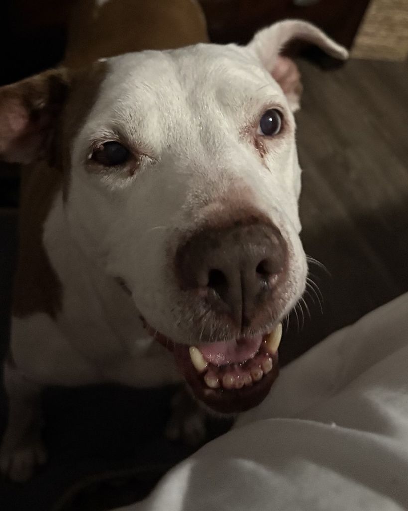 Chiquis Madrid Profile Photo