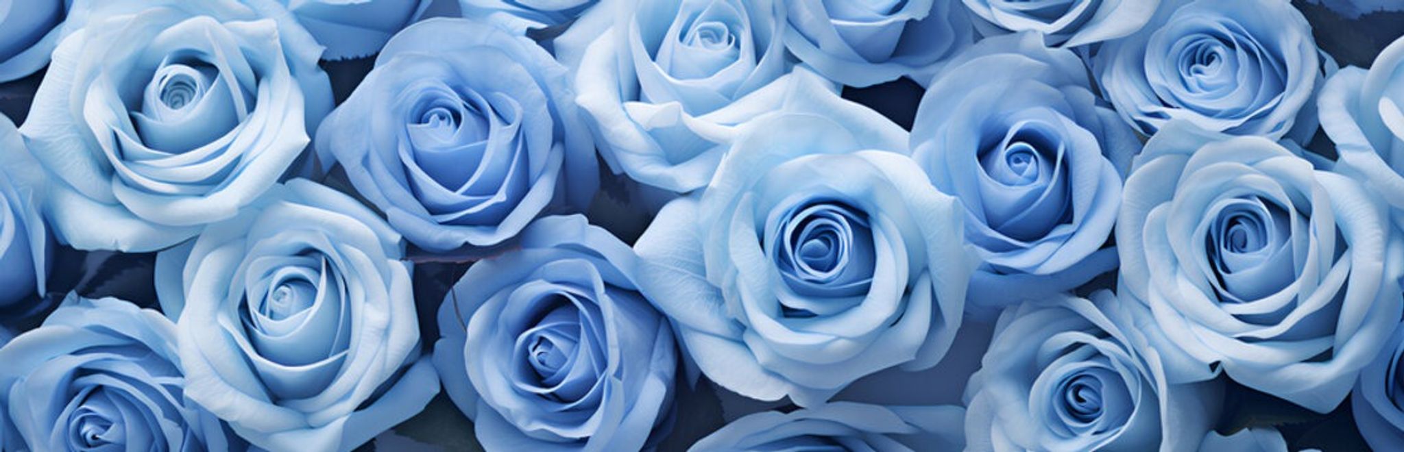 Cover for Ms. Camille Angelique Ramirez's Obituary