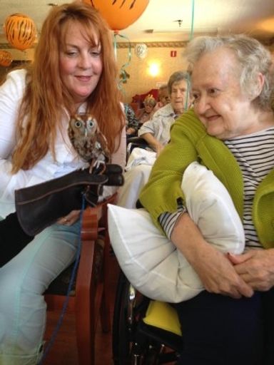 Zona G. Castle photo 2