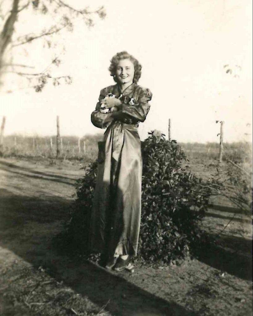 Alene Spicer Profile Photo