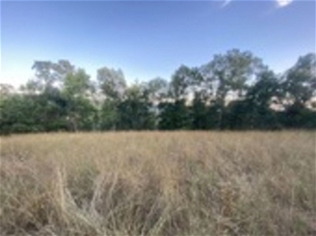 David Mccahan Profile Photo